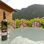 In St Gallenkirch Bei Skipisten