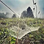 In St Gallenkirch Bei Skipisten *
