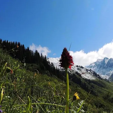 Апартаменты In St Gallenkirch Bei Skipisten *