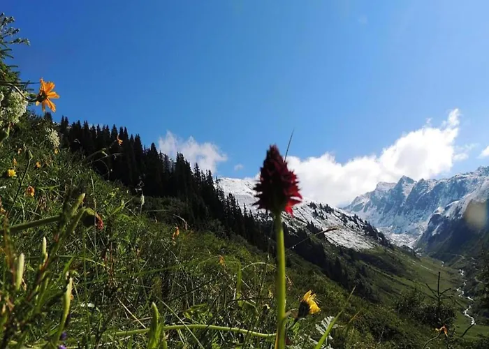 Апартаменты In St Gallenkirch Bei Skipisten *