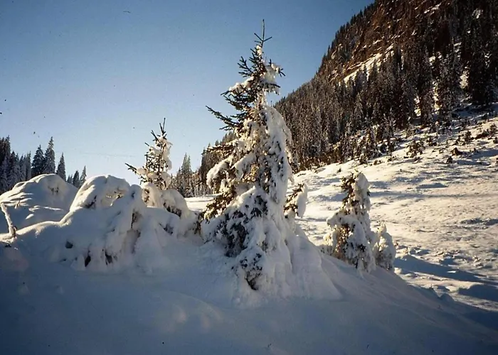 In St Gallenkirch Bei Skipisten