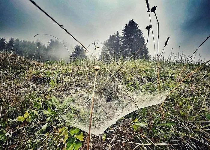 In St Gallenkirch Bei Skipisten *